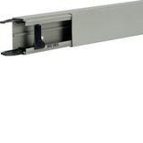 Liféa trunking40x57,c,2 cable r., g