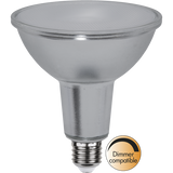 LED Lamp E27 PAR38 Spotlight Glass