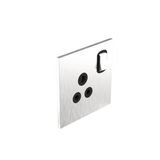 Art d'Arnould - 1 gang BS socket outlet 5A single pole switched Epure - Brushed Steel