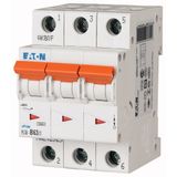 Miniature circuit breaker (MCB), 63 A, 3p, characteristic: B