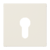 Centre plate f. key switch LS925