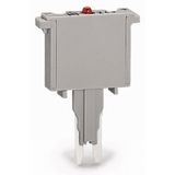 Fuse plug with soldered miniature fuse with indicator lamp gray