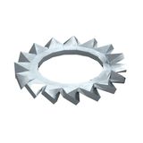 SWS M12 G Serrated washer  M12