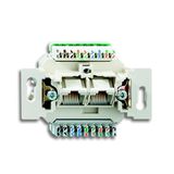 0220/12-507-101 Flush Mounted Inserts Cat 6 2x RJ45 8(8) 2gang