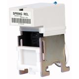 Spring release, 208-250VAC/DC