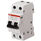 SH202T-B16 Miniature Circuit Breaker - 2P - B - 16 A