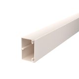 WDK40060CW Wall trunking system with base perforation 40x60x2000