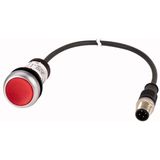 Illuminated pushbutton actuators, maintained, red, 24v, 1 N/C, with cable 1m and M12A plug