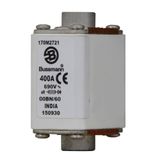 Fuse-link, high speed, 400 A, AC 690 V, size 00, 30 x 48 x 64 mm, aR, IEC, visual indicator