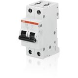 S202-B1 Miniature Circuit Breaker - 2P - B - 1 A