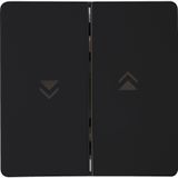 Double Rocker pad with arrows mb