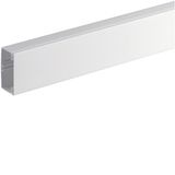 Trunking 60x110,pure white