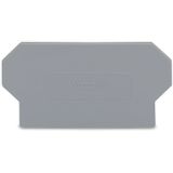 Separator plate 2 mm thick oversized gray