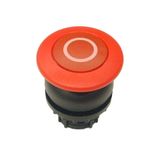 Mushroom actuator, RMQ-Titan, Mushroom, momentary, Mushroom red, red, inscribed, Bezel: black