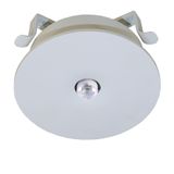 Emerg.lum.IL 1x3W ERT-LED3h 230V AC Wireless spot recessed