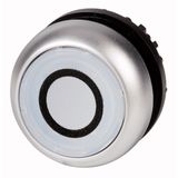 Illuminated pushbutton actuator, RMQ-Titan, Flush, maintained, White, inscribed 0, Bezel: titanium