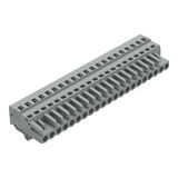 1-conductor female connector CAGE CLAMP® 2.5 mm² gray