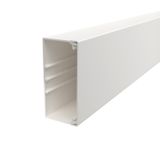 WDK60130RW Wall trunking system with base perforation 60x130x2000