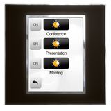 Plate Arteor - US std - video display int. unit 2.5'' - mirror black