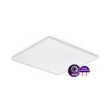 Ledinaire panel, All-in, 28 W, 600x600 mm, VPC, 3400 lm, 3000 K, 4000 K, DALI, UGR19