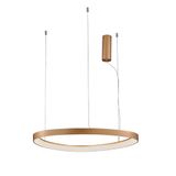 Pendant Lamp D:800 Loop