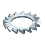 SWS M10 G Serrated washer  M10