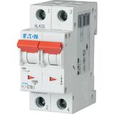 Miniature circuit breaker (MCB), 10 A, 2p, characteristic: B