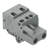 1-conductor female connector CAGE CLAMP® 2.5 mm² gray