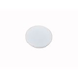 Button plate, flat white, blank