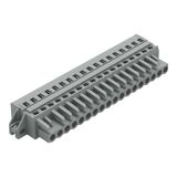 1-conductor female connector CAGE CLAMP® 2.5 mm² gray