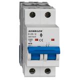 Miniature Circuit Breaker (MCB) AMPARO 10kA, D 25A, 2-pole