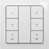 Wireless 6-way pushbutton as keypad, laser engraved, in E-Design55, pure white glossy