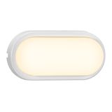 Cuba Energy Oval | White