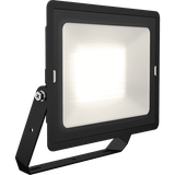 Eden Floodlight 100W Cool White