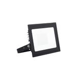 Eden Floodlight 50W Warm White