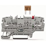 2002-1981/1000-414 2-conductor fuse terminal block; for mini-automotive blade-style fuses; with test option