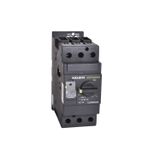 113835 Manual motor protective circuit breaker Ex9S80A 32AM