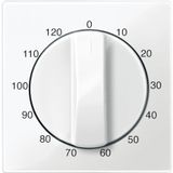 Central plate for time switch insert, 120 min, polar white, glossy, System M