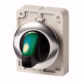Illuminated selector switch actuator, RMQ-Titan, With thumb-grip, momentary, 2 positions, green, Metal bezel