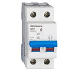 Main Load-Break Switch (Isolator) 100A, 2-pole