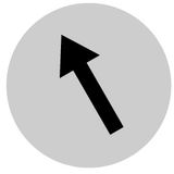 Button lens, raised white, arrow symbol