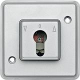 Push-btn DIN cylinder key switch insrt f. roller shut.s, aluminium, Anti-Vanda.