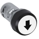 CP9-1015 Pushbutton