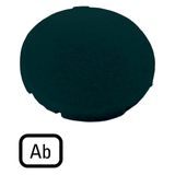 Button plate, flat black, AB