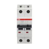 ST202M-D13 Miniature Circuit Breaker - 2P - D - 13 A