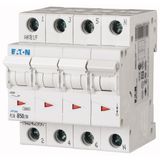 Miniature circuit breaker (MCB), 50 A, 3p+N, characteristic: B