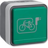 SCHUKO soc.out. green hinged cover+imprinted symb. e-bike, W.1, grey/ 