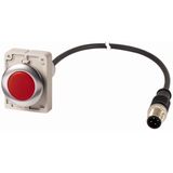 Indicator light, Flat, Cable (black) with M12A plug, 4 pole, 1 m, Lens Red, LED Red, 24 V AC/DC