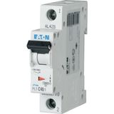 Miniature circuit breaker (MCB), 40 A, 1p, characteristic: B