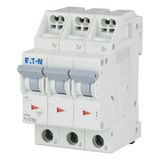 Miniature circuit breaker (MCB) with plug-in terminal, 16 A, 3p, characteristic: C